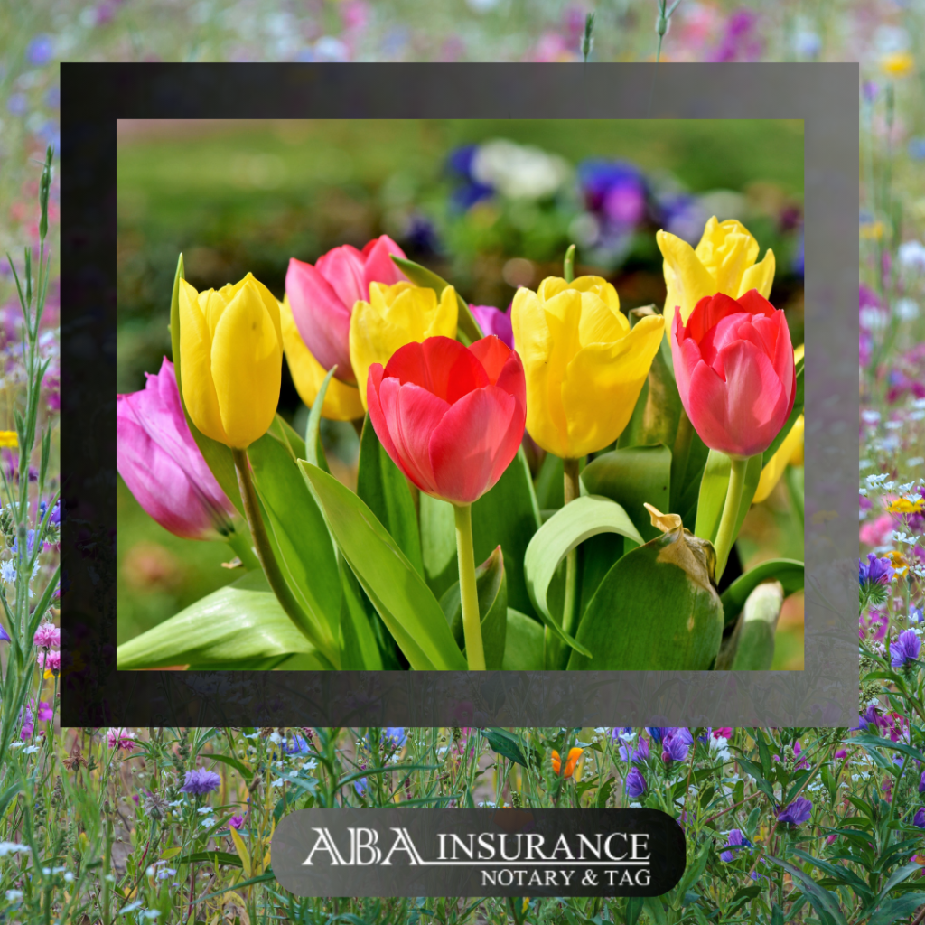 Happy Spring ABA Insurance Notary Tag